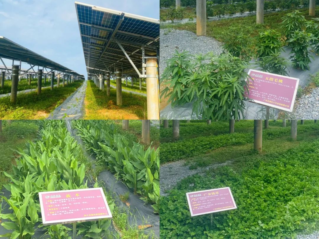 永利欢乐娱人城