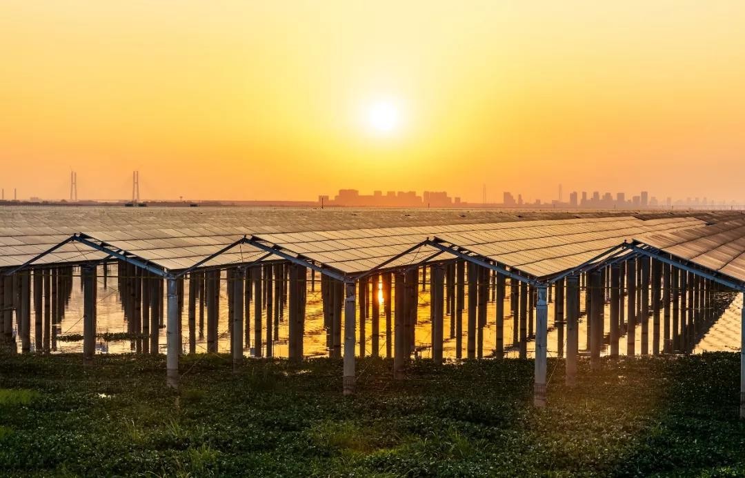 又双叒叕出圈了|永利欢乐娱人城在江西拿下1120MW优选规模