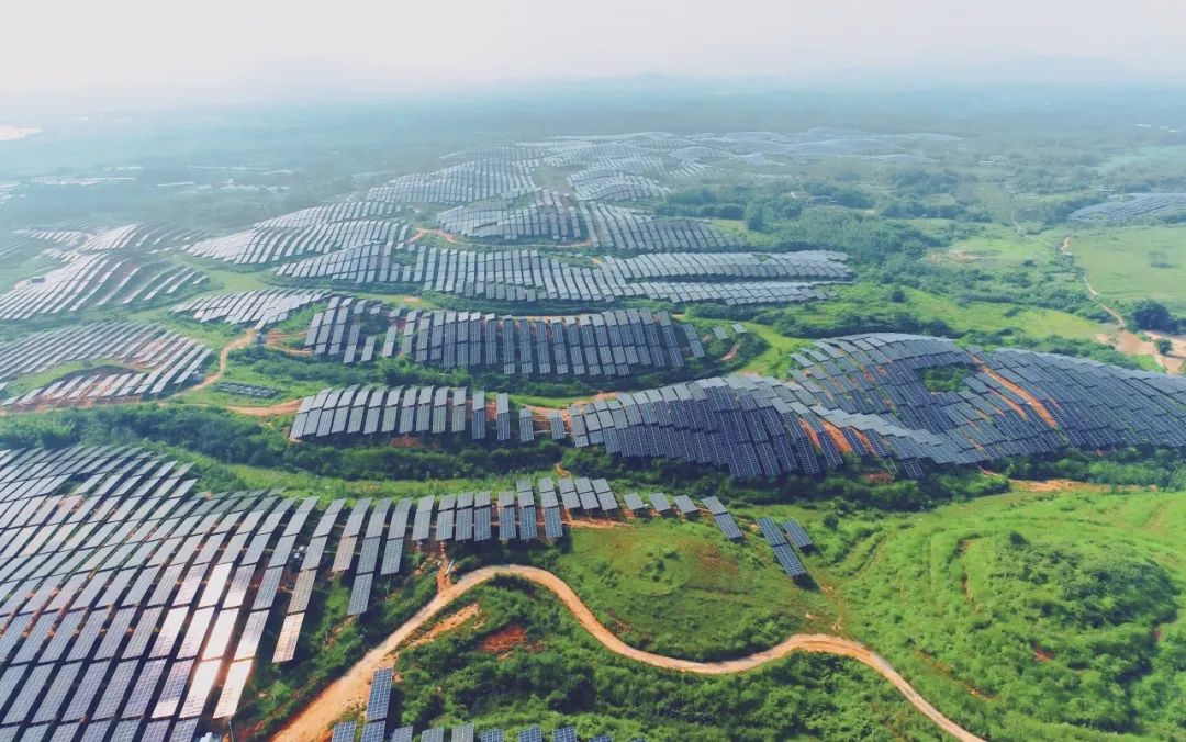 300MW！永利欢乐娱人城广东农垦红十月农场农光互补项目满发并网